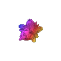 Rainbow Ivyquil